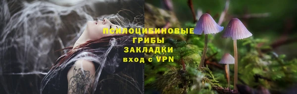 ГАЛЛЮЦИНОГЕННЫЕ ГРИБЫ Сясьстрой