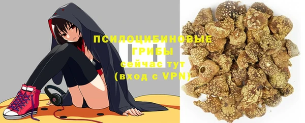 ALPHA-PVP Строитель